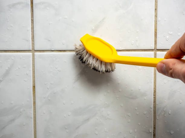 Best Mold Damage Repair  in Pleasantville, NY