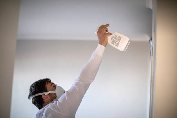 Best Emergency Mold Removal  in Pleasantville, NY