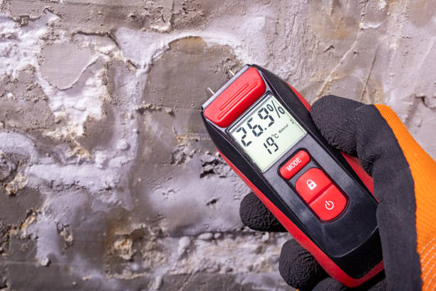 Best Mold Remediation Services  in Pleasantville, NY