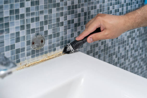 Best Certified Mold Removal  in Pleasantville, NY