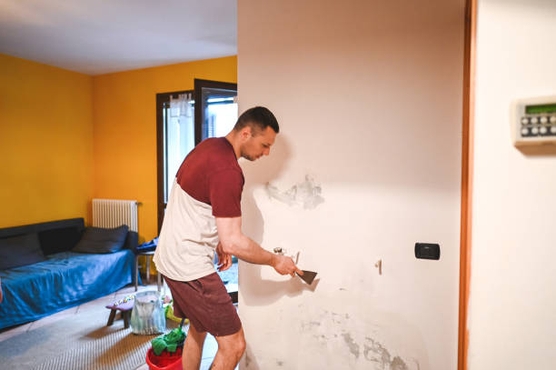 Best Affordable Mold Removal  in Pleasantville, NY